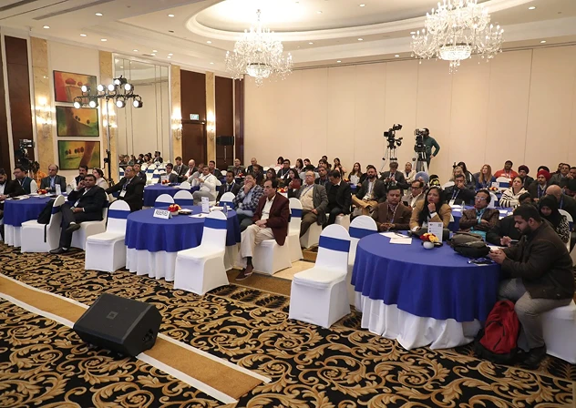 immigration consultant